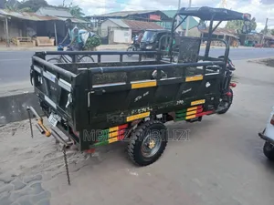 Shineray XY250-7 2024 Green