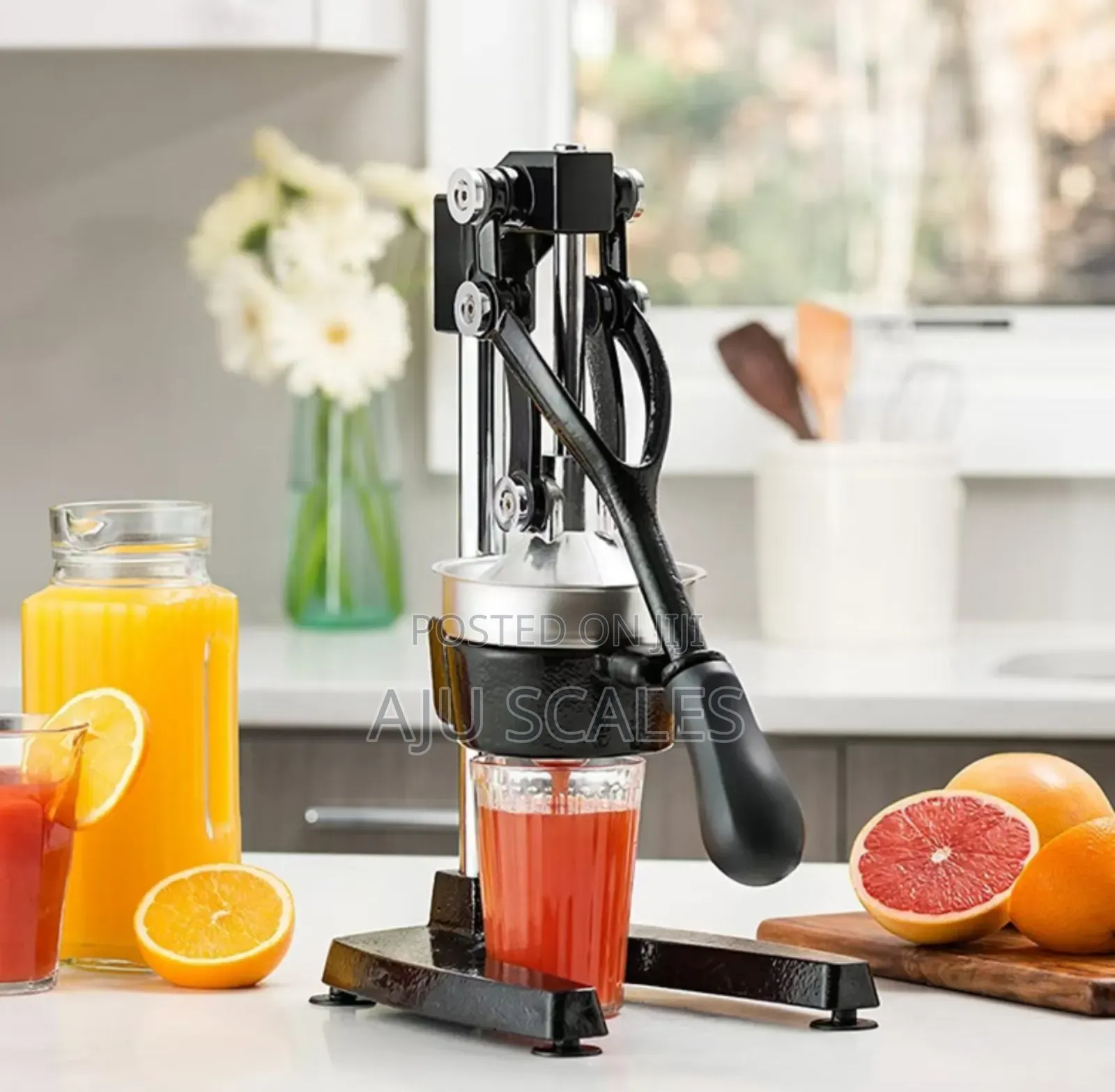 Hand Juicer