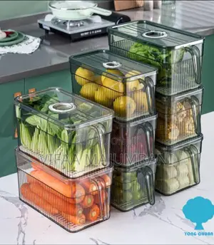 Fridge Organizer at Home