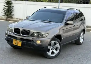 BMW X5 2006 Gray
