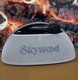 Skywood Boombox 2 Bass Boosted 80w
