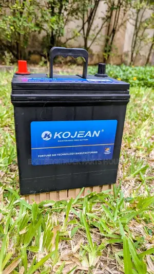 Car Battery Ns40