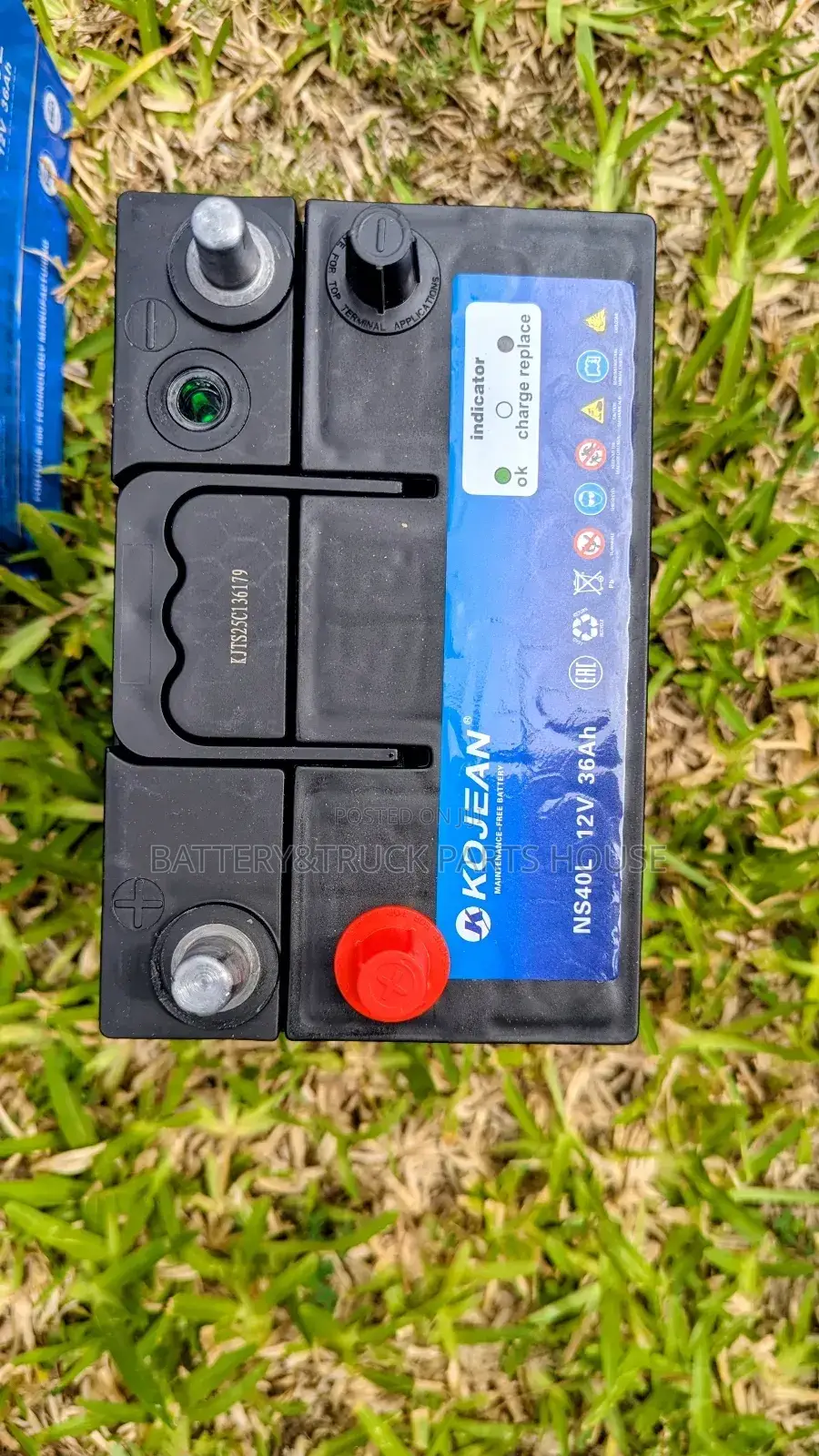 Car Battery Ns40