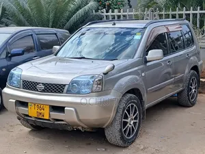 Nissan X-Trail 2005 Gray