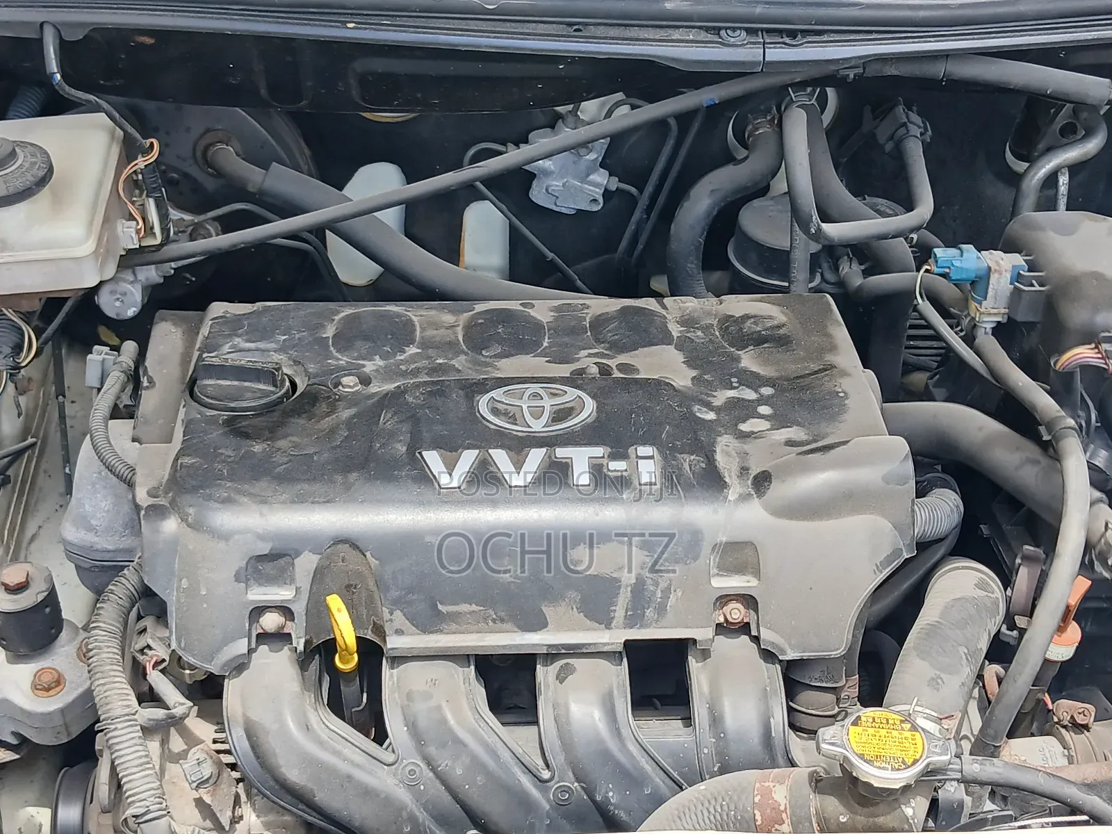 Toyota IST 2004 White