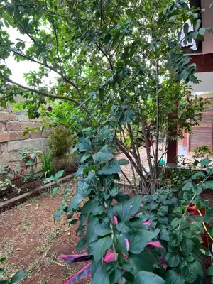 Furnished 2bdrm Villa in Kaskazini A for sale