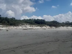 Beach 1 for Sale at Mkuranga - Pwani