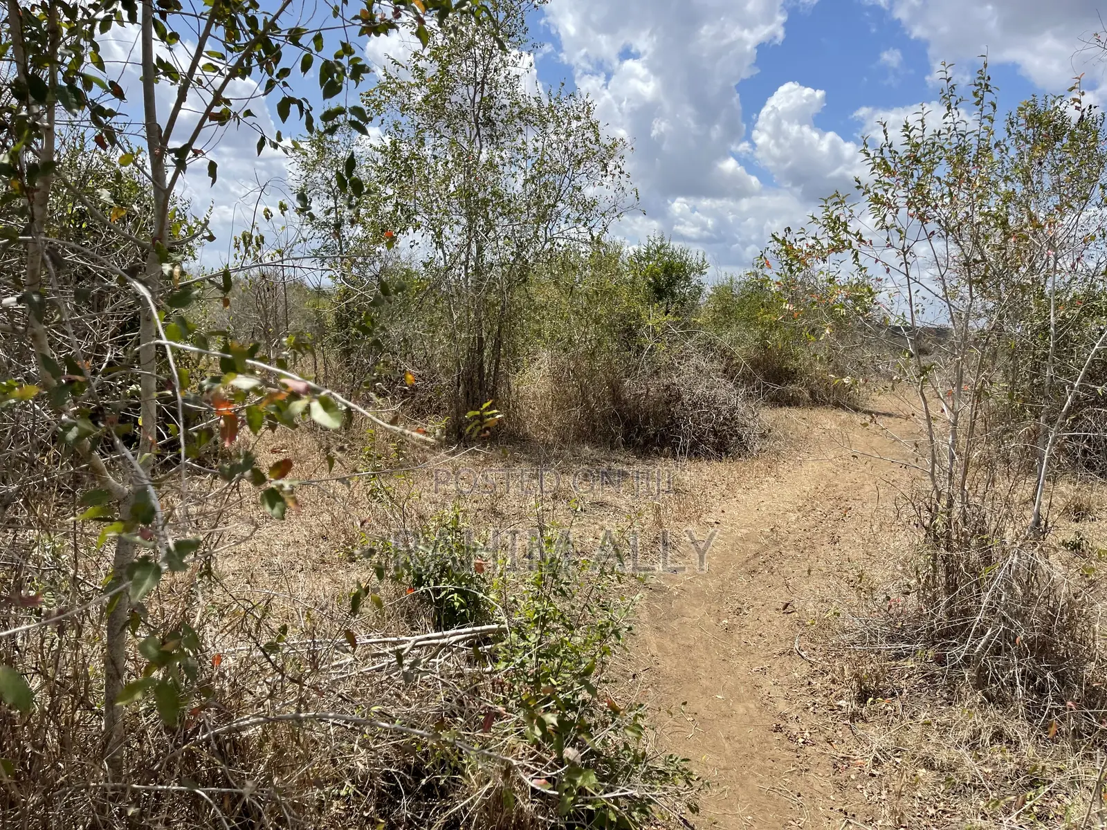 Shamba Linauzwa Ludiga Hekari 70