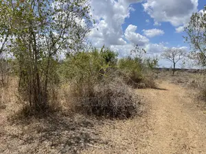 Shamba Linauzwa Ludiga Hekari 70