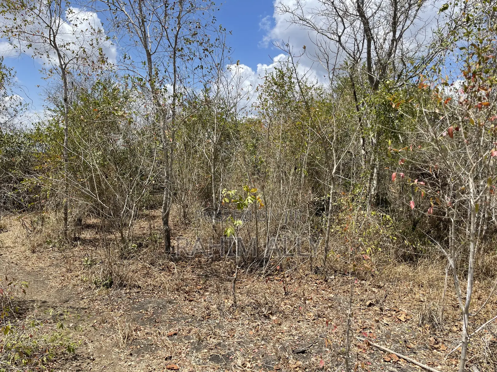 Shamba Linauzwa Ludiga Hekari 70