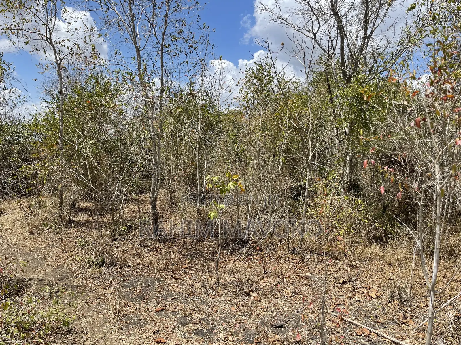 Shamba Linauzwa Ludiga Hekari 70