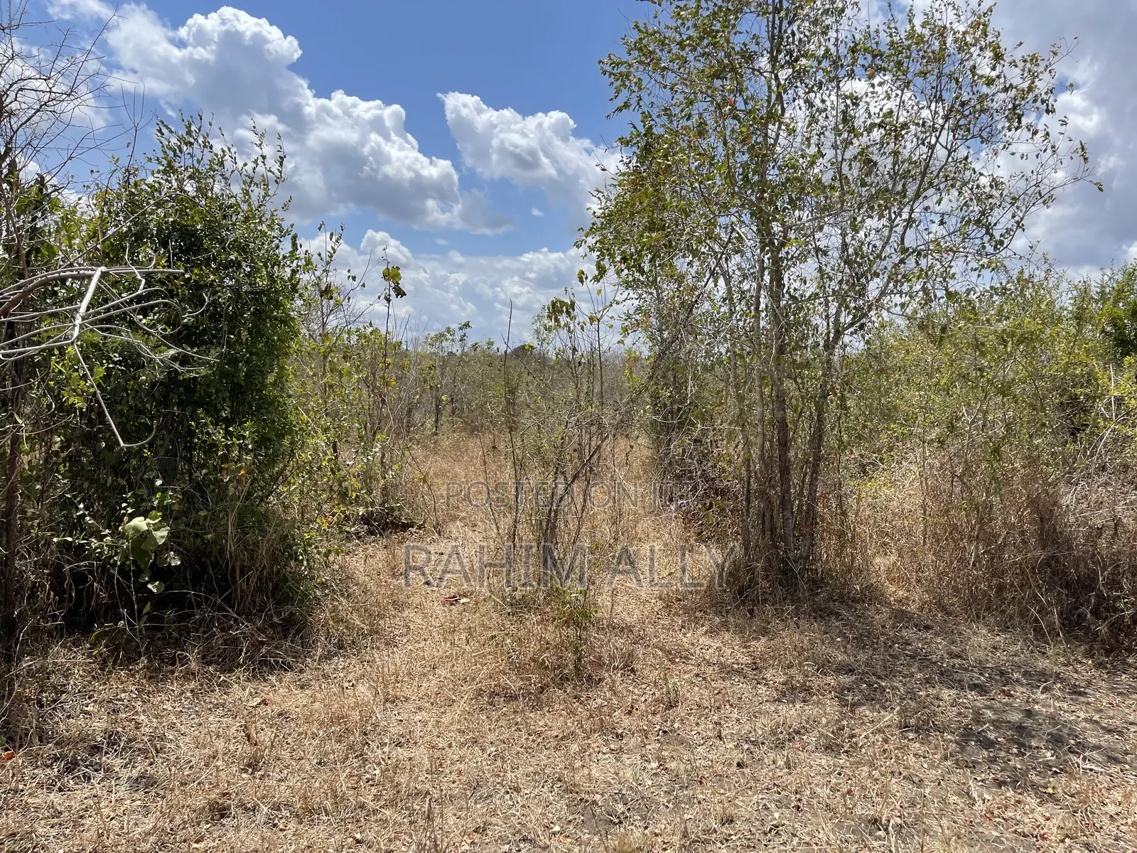 Shamba Linauzwa Ludiga Hekari 70