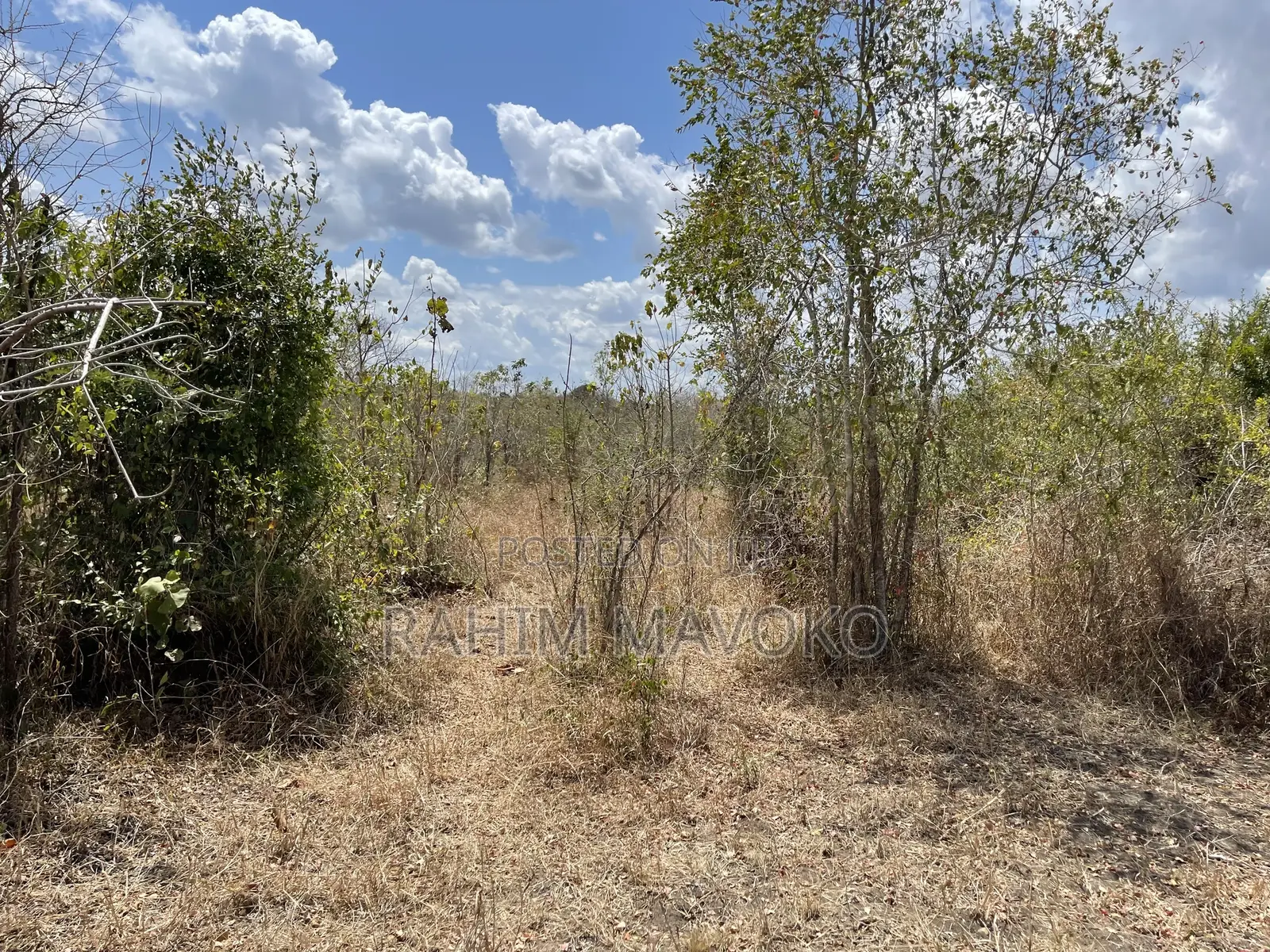 Shamba Linauzwa Ludiga Hekari 70
