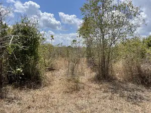 Shamba Linauzwa Ludiga Hekari 70