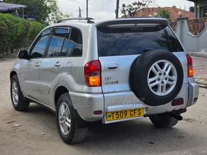 Toyota RAV4 2004 Silver