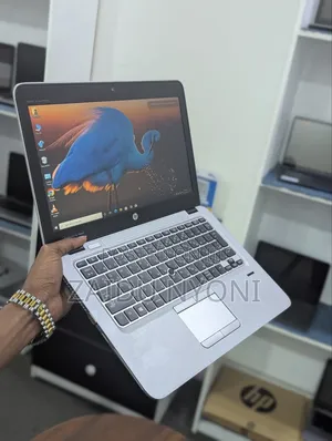 New Laptop HP EliteBook 745 G4 4GB AMD A10 SSD 128GB