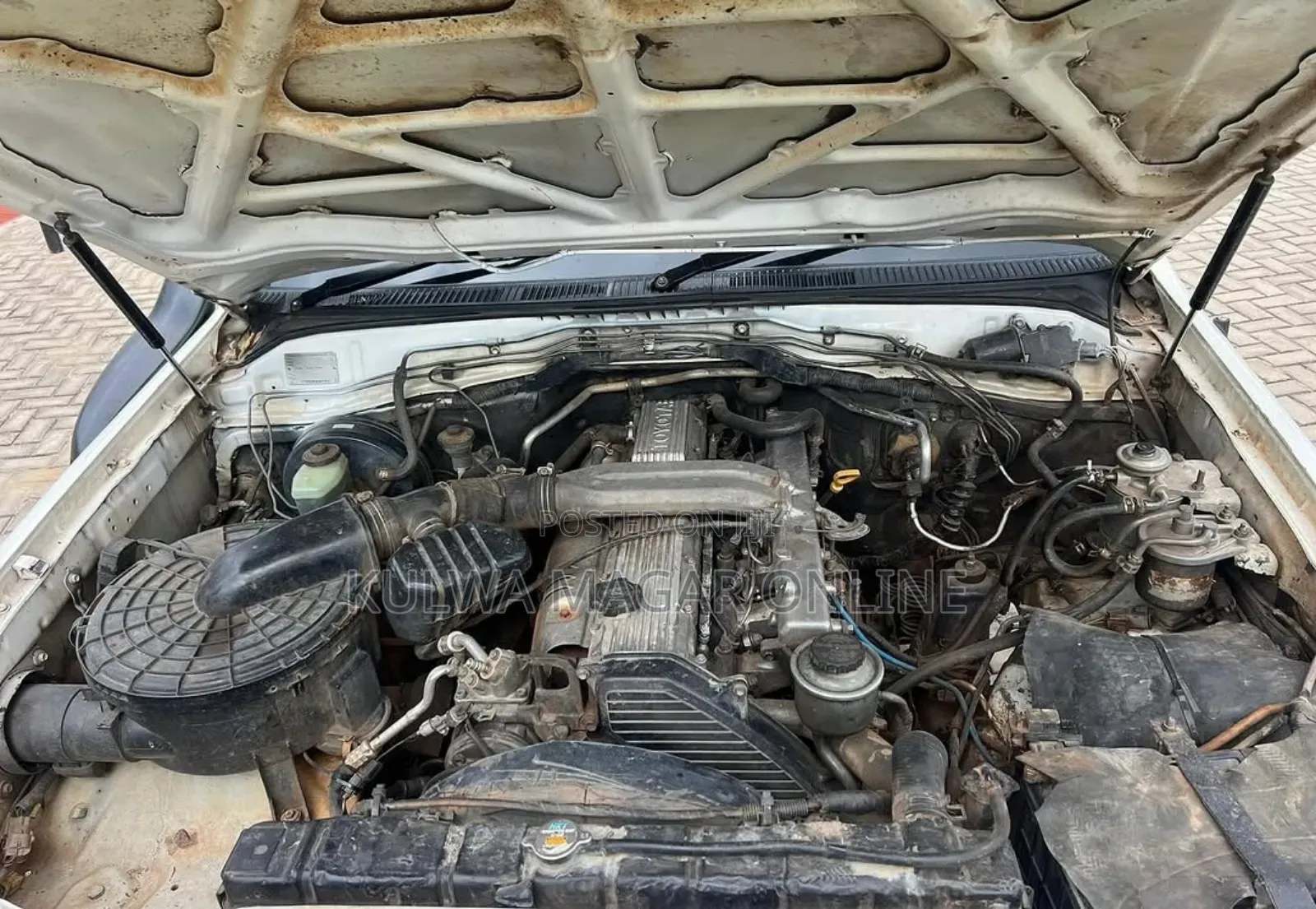 Toyota Land Cruiser 2000 White