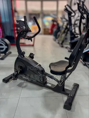 Recumbent Bike Heavy Duty