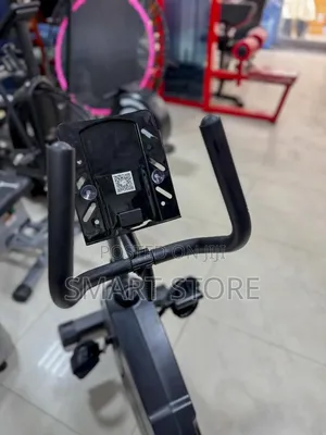 Recumbent Bike Heavy Duty