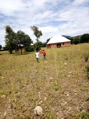 Kambele Wauzaji Viwanja