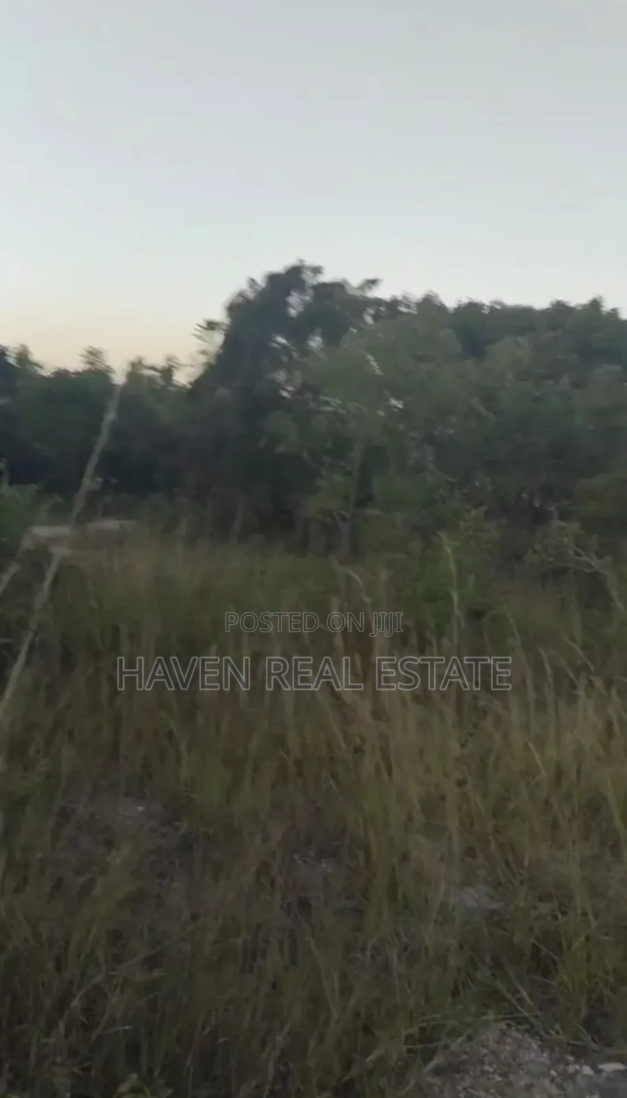 Plot for Sale at Salasala