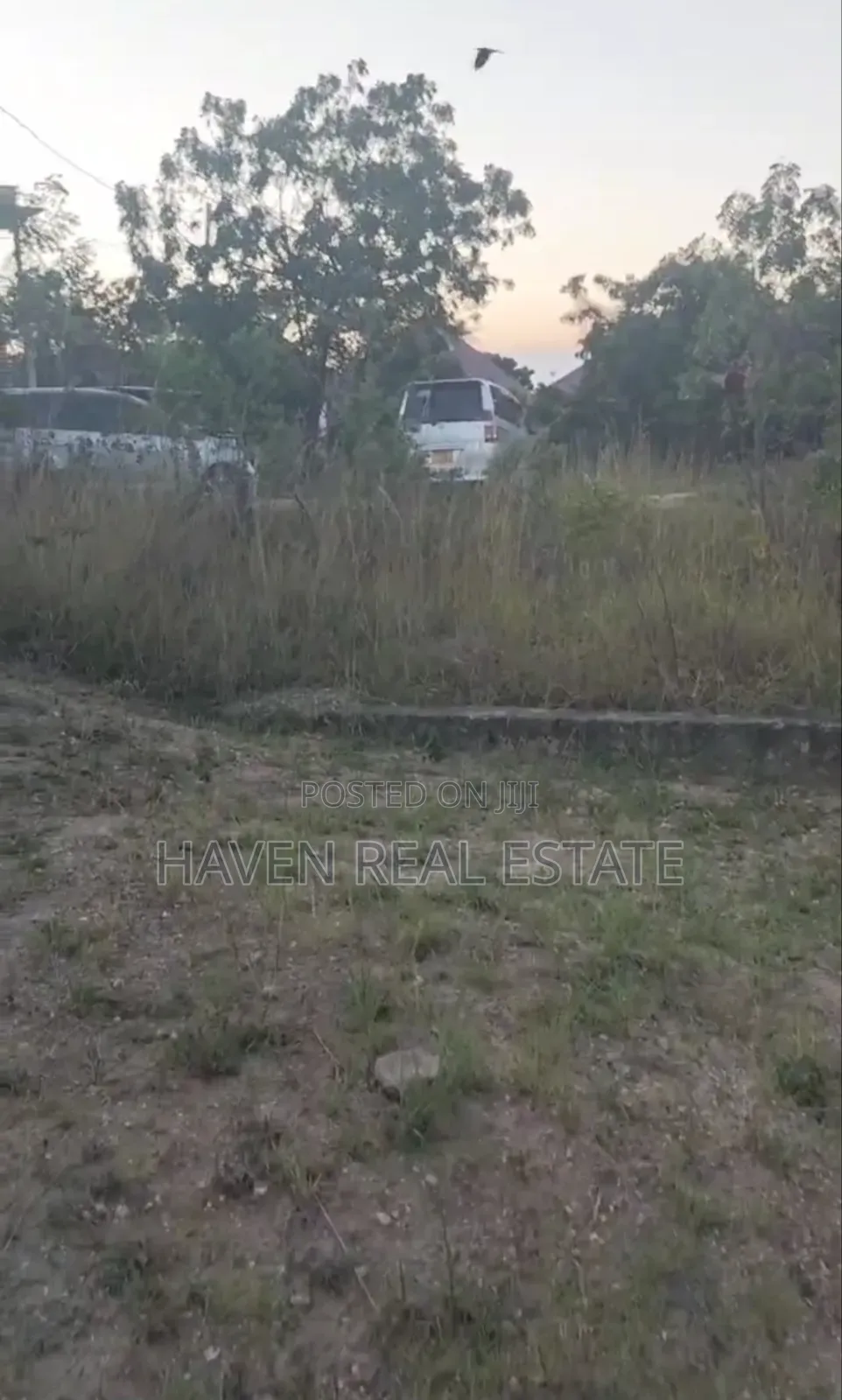 Plot for Sale at Salasala
