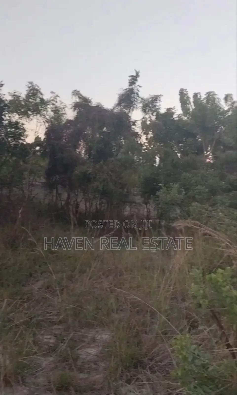 Plot for Sale at Salasala