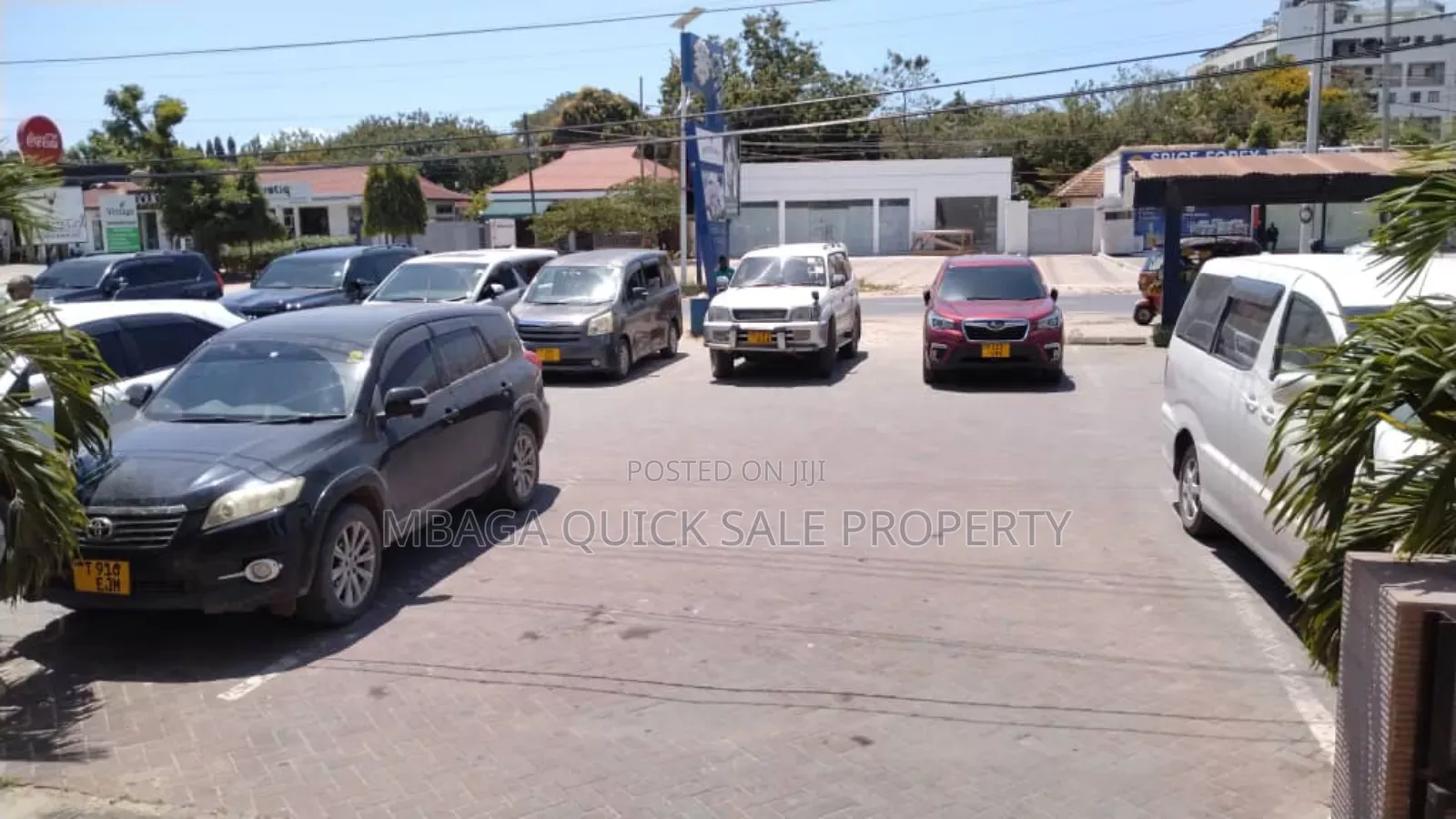 Office Space Area SQM 186 for Rent Usd 15 Per SQM at Oyster Bay