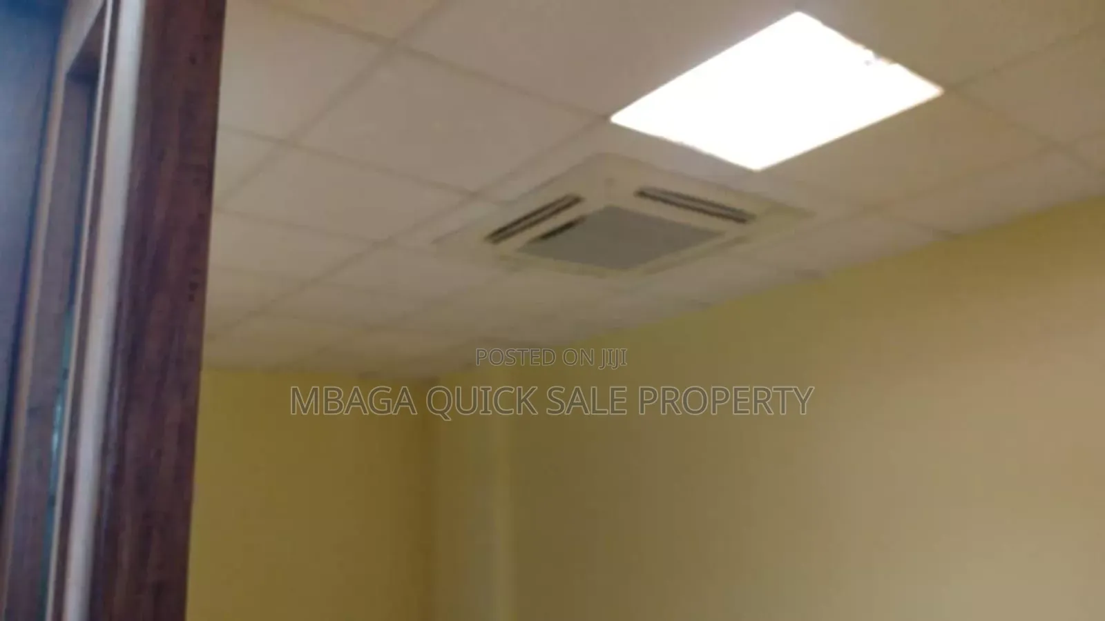 Office Space Area SQM 186 for Rent Usd 15 Per SQM at Oyster Bay