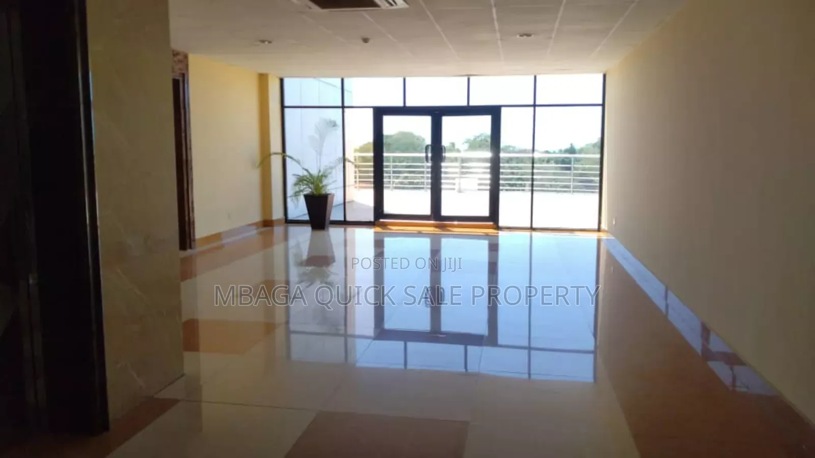 Office Space Area SQM 186 for Rent Usd 15 Per SQM at Oyster Bay