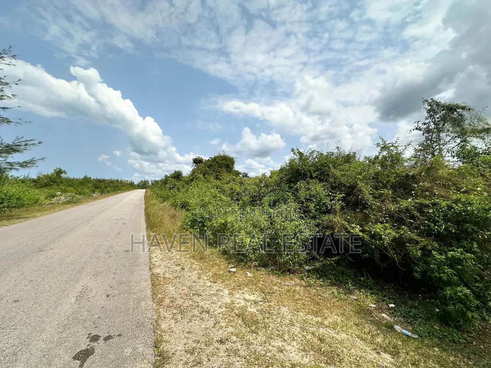 A Potential Road Side for Sale at Uroa Zanzibar