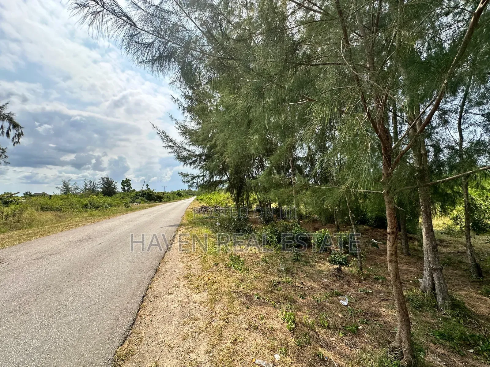 A Potential Road Side for Sale at Uroa Zanzibar