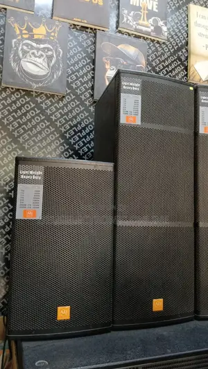 Speaker Ag Elx 215