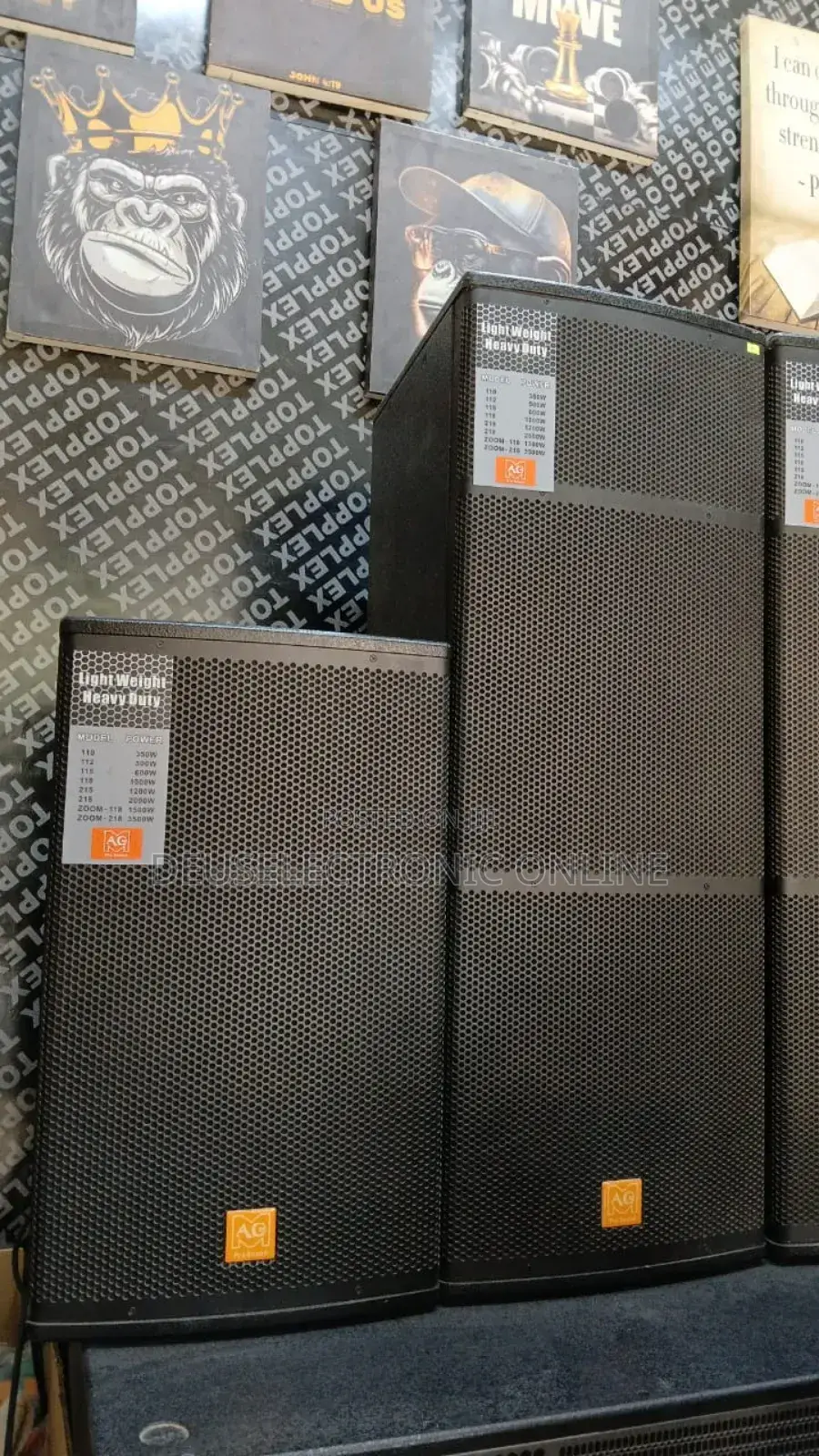 Speaker Ag Elx 215