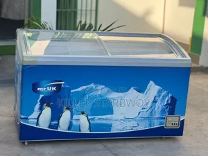 Display Freezer