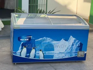 Display Freezer