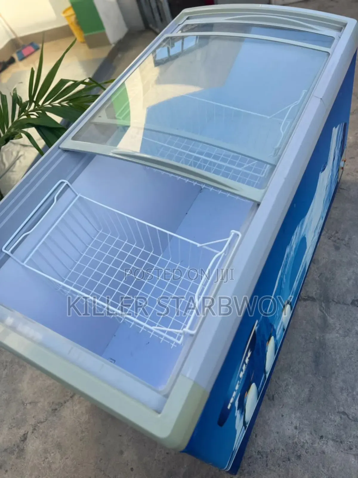 Display Freezer