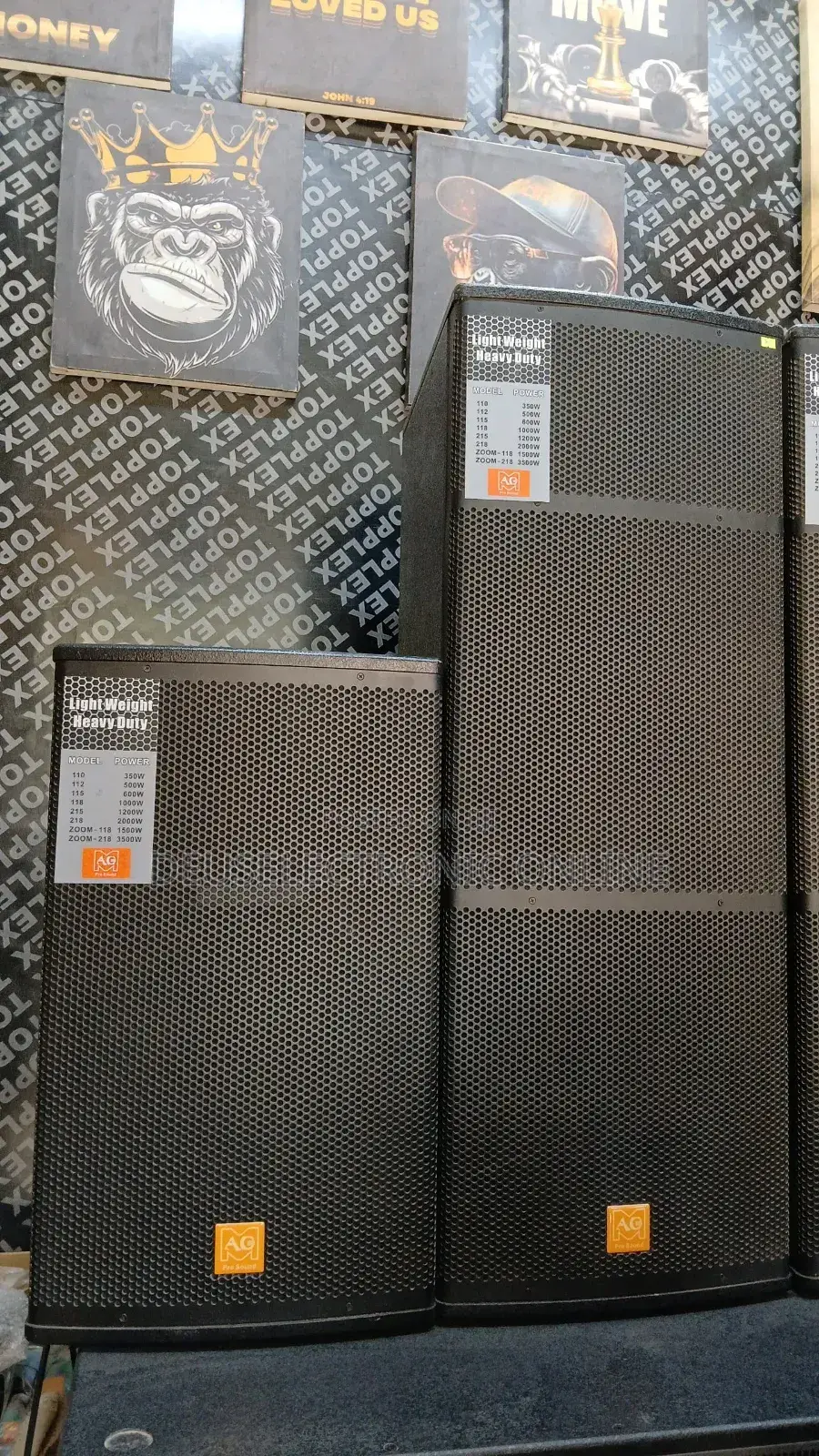 Speaker Ag Elx 115