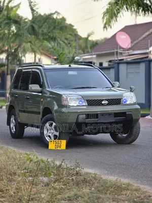 Nissan X-Trail Automatic 2002 Gray