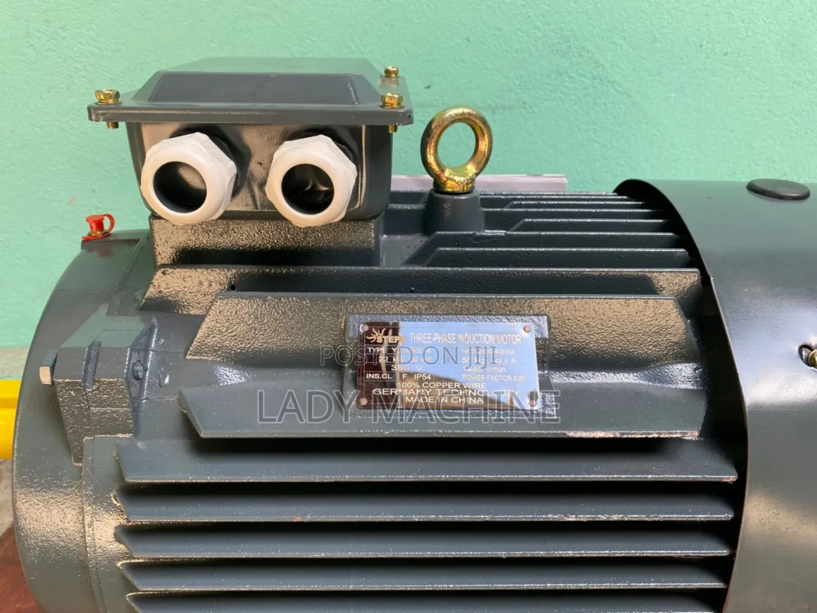 Steps Brand 30hp Electric Motor