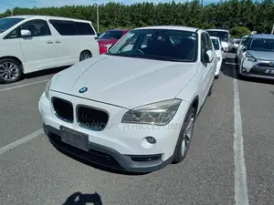 BMW X1 2013 Pearl