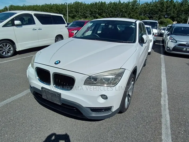 BMW X1 2013 Pearl