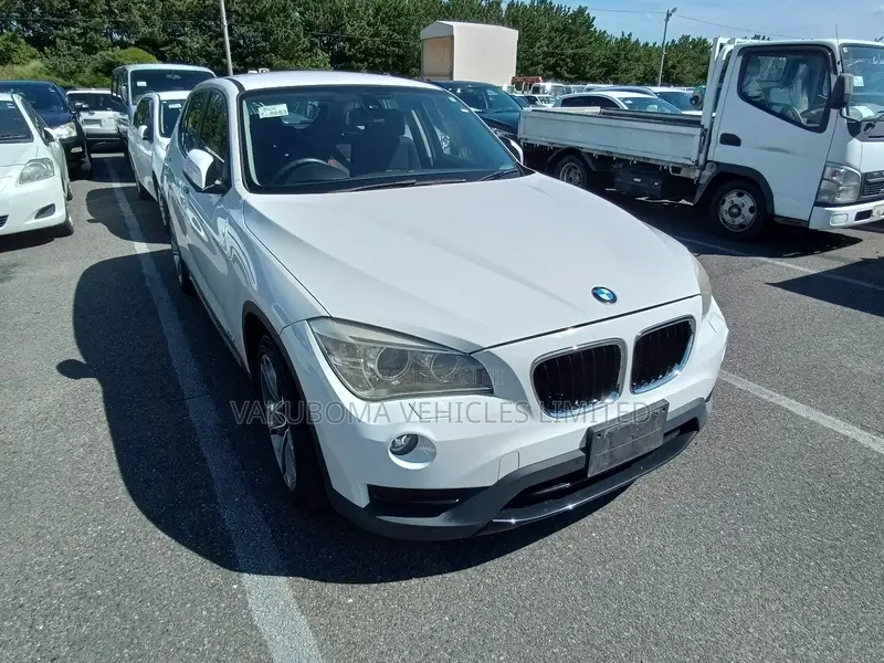 BMW X1 2013 Pearl