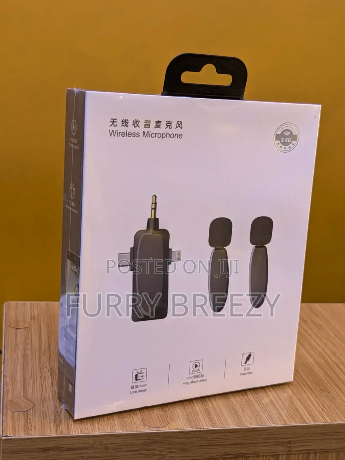 3 in 1 Wireless Microphone
