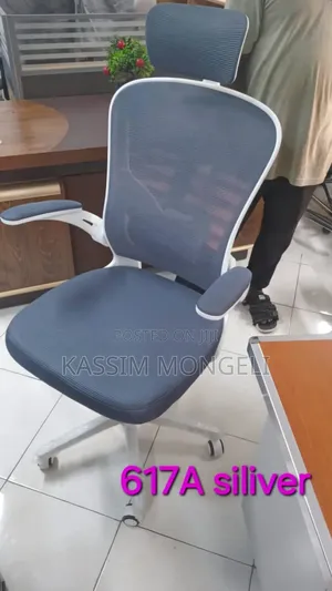 Egronmic Chairs