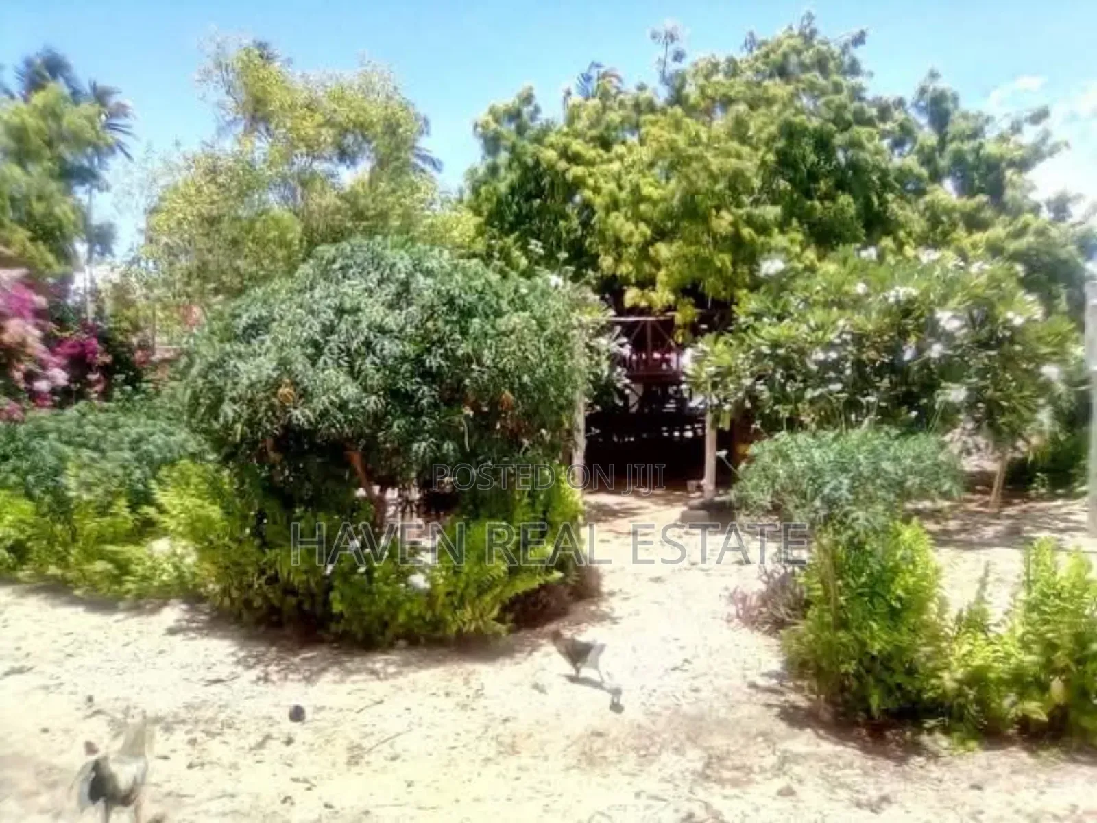 Beach Bungalow for Sale at Zanzibar