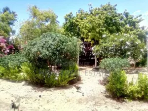 Beach Bungalow for Sale at Zanzibar