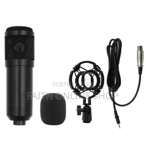 Bm800 Microphone Only