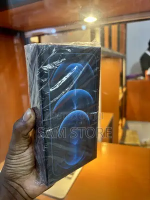 New Apple iPhone 12 Pro Max 256 GB Blue
