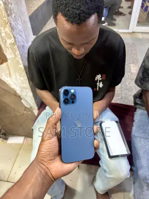 Apple iPhone 12 Pro Max 256 GB Blue